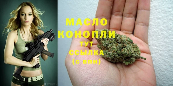 прущие грибы Горно-Алтайск