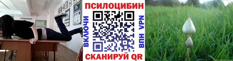 Псилоцибиновые грибы Psilocybine cubensis  как найти   Нефтекумск 