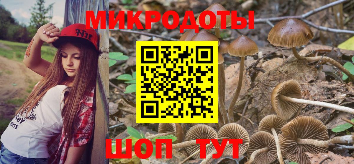 Нефтекумск  Псилоцибиновые грибы Psilocybine cubensis  даркнет сайт  Вход с VPN 