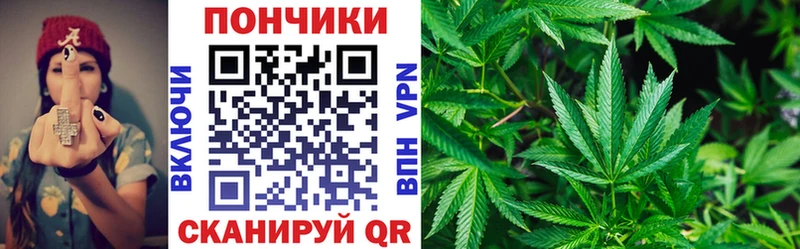 Бошки марихуана SATIVA & INDICA  Нефтекумск 